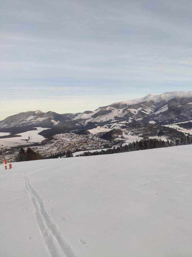 Western Tatras Slovakia Orawski Biały Potok Zewnętrze zdjęcie