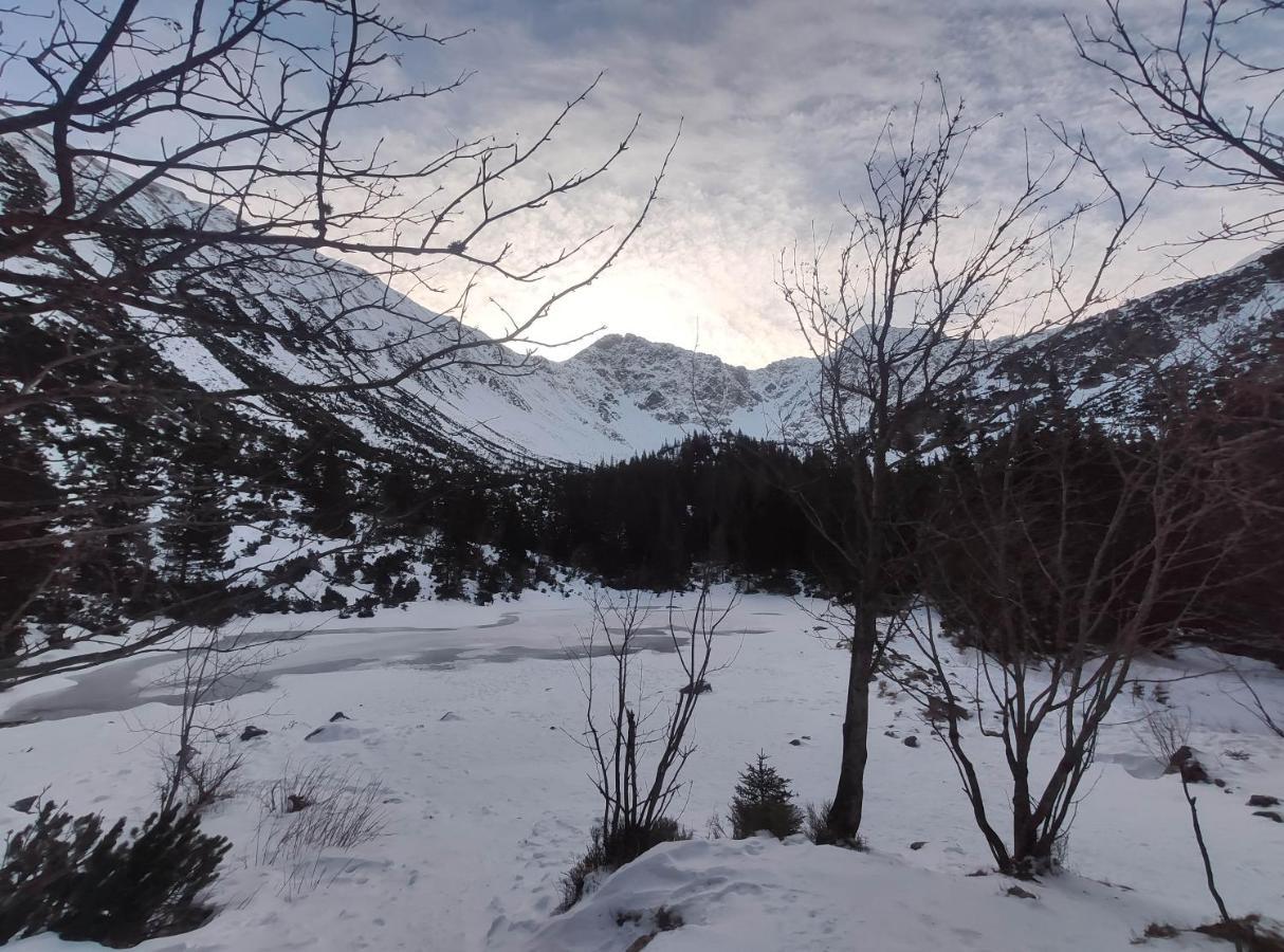 Western Tatras Slovakia Orawski Biały Potok Zewnętrze zdjęcie