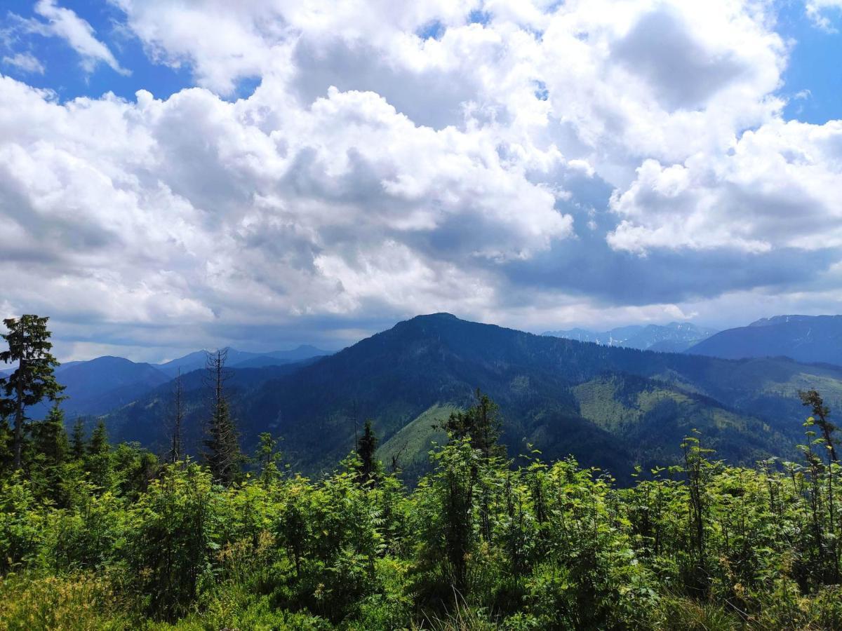 Western Tatras Slovakia Orawski Biały Potok Zewnętrze zdjęcie