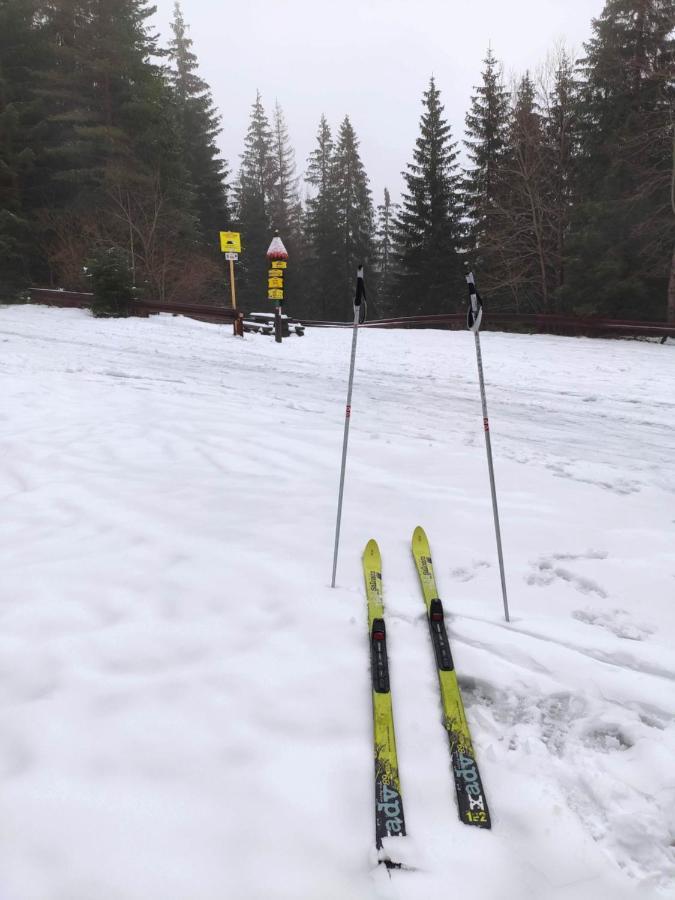 Western Tatras Slovakia Orawski Biały Potok Zewnętrze zdjęcie