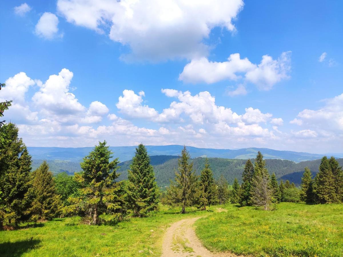 Western Tatras Slovakia Orawski Biały Potok Zewnętrze zdjęcie